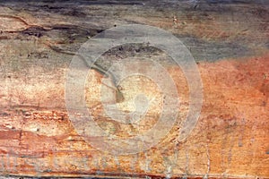 The texture of the old dried tree trunk without bark close-up