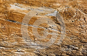 Texture of old driftwood, washed up by the sea