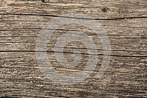 The texture of old dry weathered cracked wood, cracks along the fibers of logs, close-up abstract background