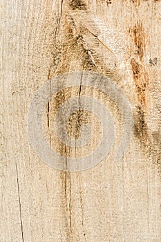 Texture of old dry weathered cracked wood, cracks along the fibers of logs, close-up abstract background