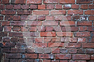 Texture of an old exterior uneven brickwork surface made of red bricks. Bricks are aged and weathered with mold, crumbled mortar a