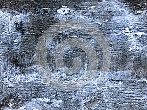 texture of the old gray concrete cement plaster wall with cracks dent holes patterns and divorces, breakaway pieces, background.