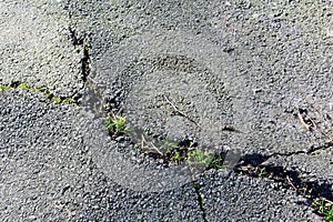 Texture of old gray cracked asphalt.