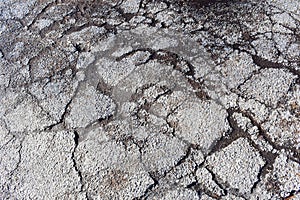 Texture of old gray cracked asphalt.