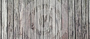 Texture of old gray wood planks wall