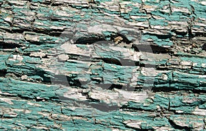 Texture of old green paint