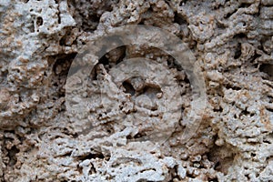 Texture of old limestone stone.