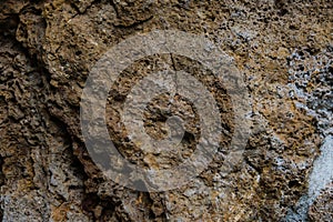 Texture of old limestone stone. photo