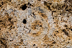 Texture of old limestone stone. photo