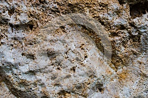 Texture of old limestone stone. photo