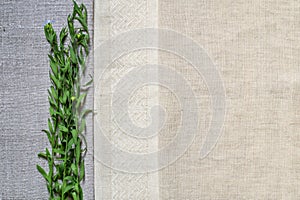 Texture of old and modern linen fabric and flowering flax