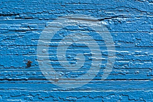 Texture. Old painted wall of the house. Old wooden fence. Blue paint. Fly on Board.