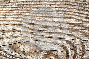 Texture of old pine board