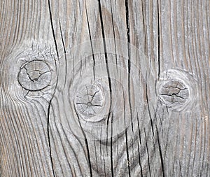 Texture of an old pine board