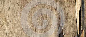 The texture of the old plywood wall is the background of the old plywood wall, taken from a close-up