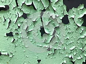 The texture of the old shabby turquoise light green peeling paint with cracks and scratches on the rusty metal wall. background