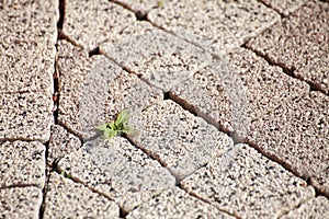 Texture of old stone floor