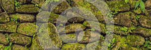 Texture of old stone wall covered green moss in Fort Rotterdam, Makassar - Indonesia BANNER, long format