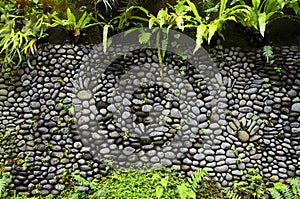 Texture of old stone wall covered green moss in Indonesia