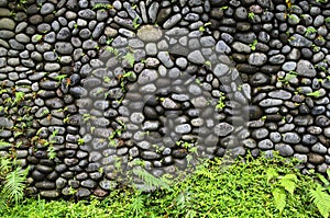 Texture of old stone wall covered green moss in Indonesia