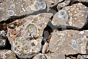 Texture of old stones photo