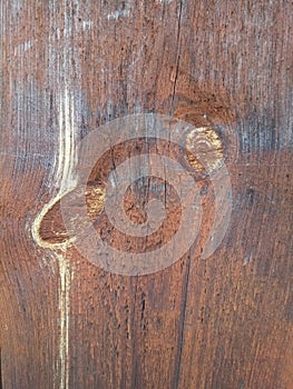 Texture of untreated wood with whitened knots photo