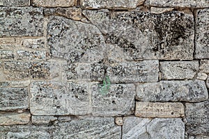 The texture of the old wall. Vintage brick back. The wall is made of shell rock of various rectangular shapes