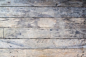 Texture of old wood. Background image
