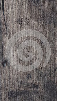 Texture of old wood for Backgrounds