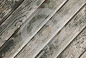 Texture of old wood with cracked paint of dark green color