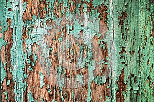 Texture of old wood with cracked paint of green color