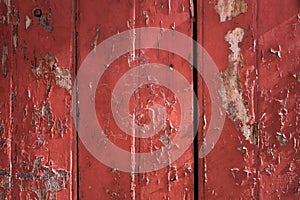 Texture of old wood with cracked paint of red color,