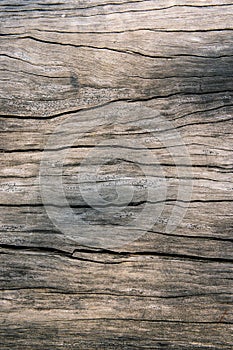 Texture old wood , dirty surface wood background, hardwood