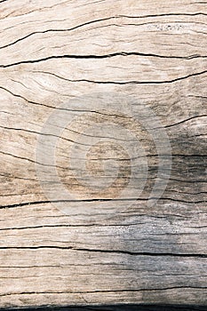 Texture old wood , dirty surface wood background, hardwood