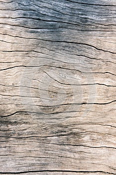 Texture old wood , dirty surface wood background, hardwood