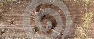 Texture of old wood plank surface background