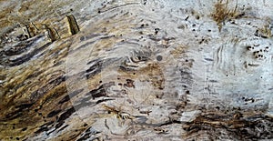 Texture of old wood plank wall surface background