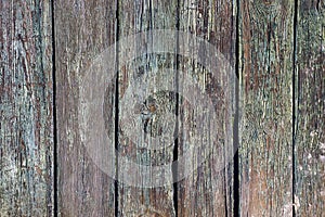 Texture from old wood planks of the fence