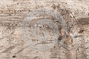 Texture of old wood with a rusty nail