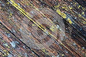 Texture of old wood and stripped paint, background of scuffed wood