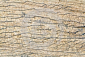 Texture of old wooden background.