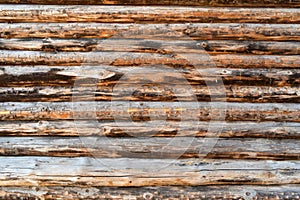The texture of the old wooden barn wall as a background.