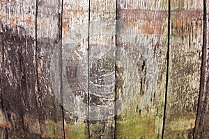 Texture of old wooden barrel close up for background