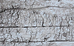 Texture of the old wooden beams