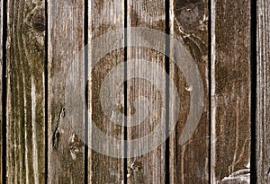 Texture of old wooden door