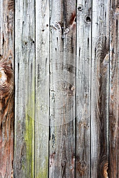 Texture of the old wooden fence