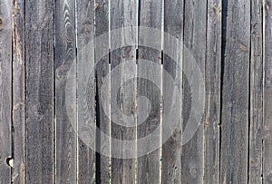 Texture of an old wooden fence with weathered boards in the sunlight