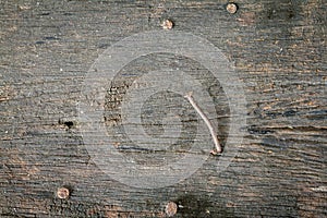 Texture of old wooden with nail background.