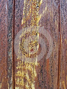 Texture-old wooden painted protective paint brown figured Board with flows of wood amber resin. Detail of wooden planks.