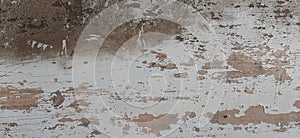 Texture of old wooden painted in white, old shabby wooden background with a trace of paint, retro background aged wood surface, te